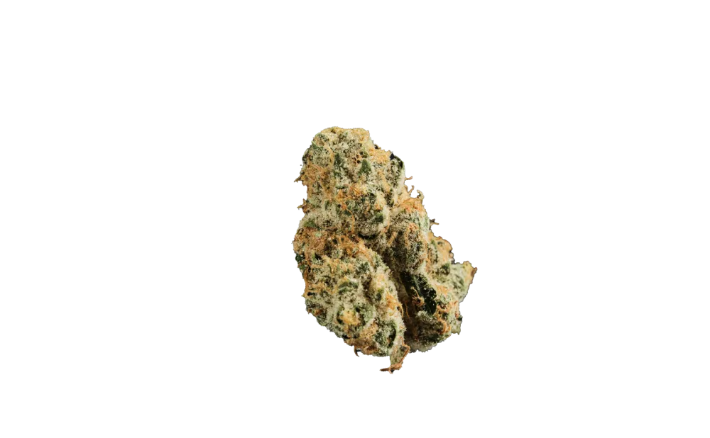 420 Evolution 33/1 CA PCH